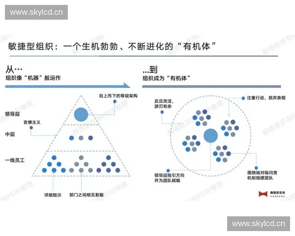 基于敏捷训练的团队协作与快速响应能力提升策略研究 基于敏捷训练的团队协作与快速响应能力提升策略研究
