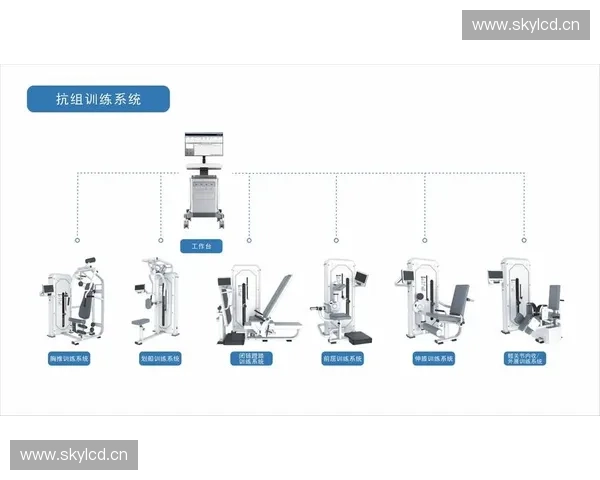 以核心力量为支撑提升全身运动表现的科学原理与训练方法 以核心力量为支撑提升全身运动表现的科学原理与训练方法