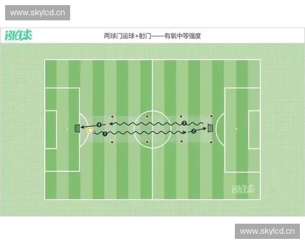 以体能储备为中心构建科学高效的全周期训练发展策略理论路径研究