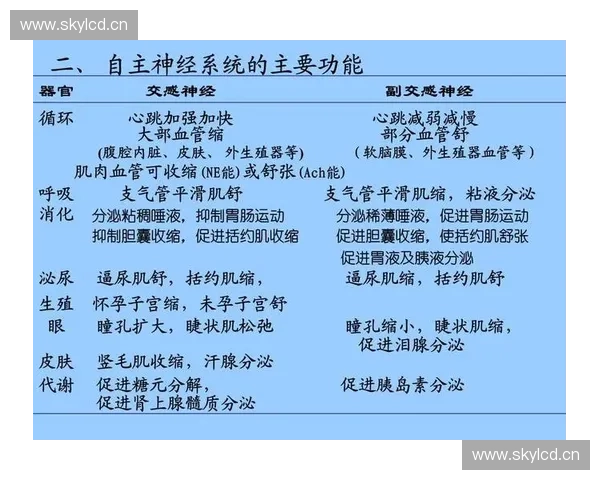 以人体各系统功能为核心探讨身体机能的优化与调节方法